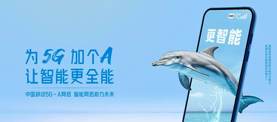 蒙阴县蒙阴县岱崮镇 移动宽带